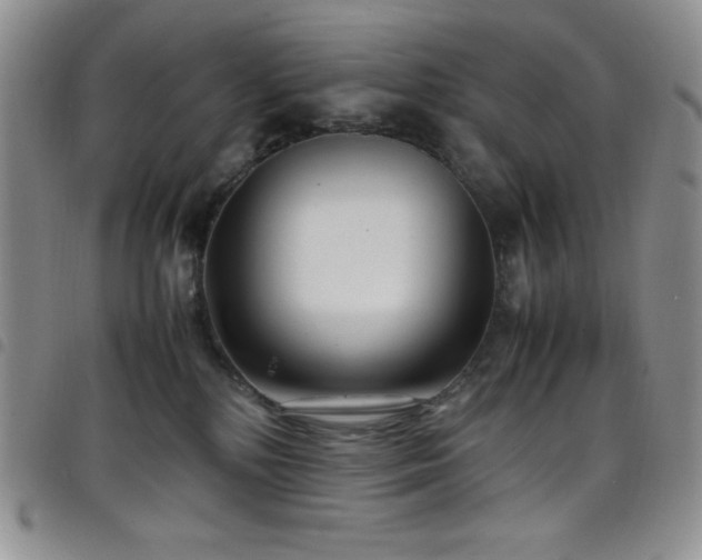 X0000099230232200804241459