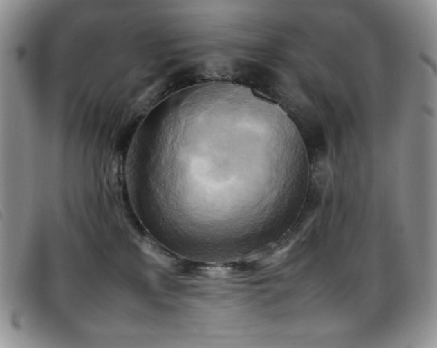 X0000099230233200804241459