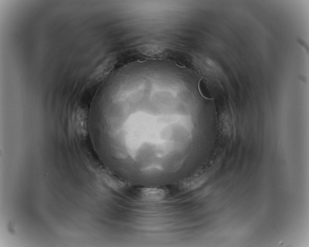 X0000099230234200804241459