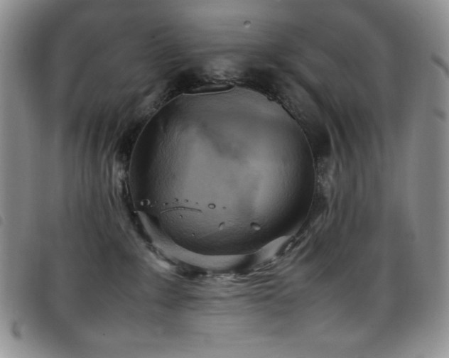 X0000099230235200804241459