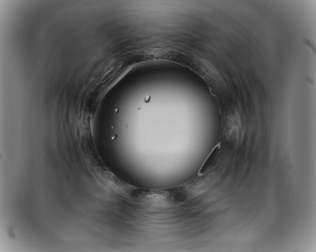 X0000099230236200804241459