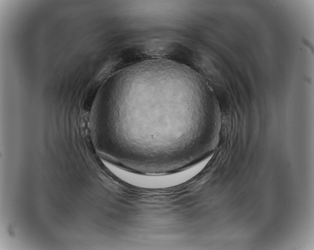 X0000099230237200804241459