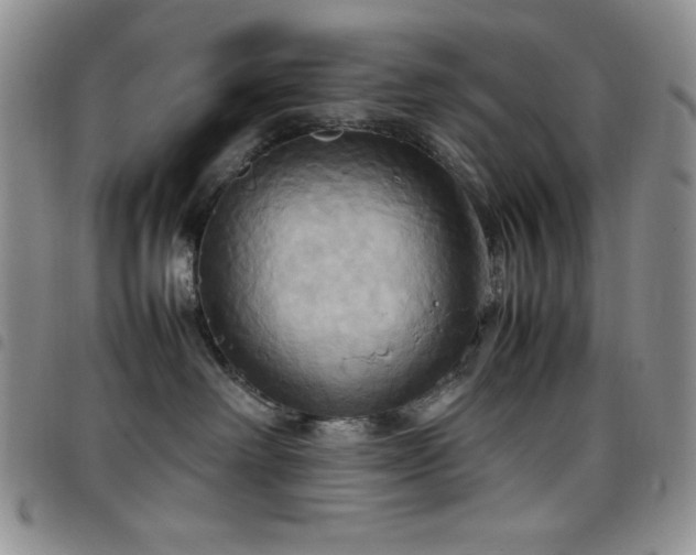 X0000099230238200804241459