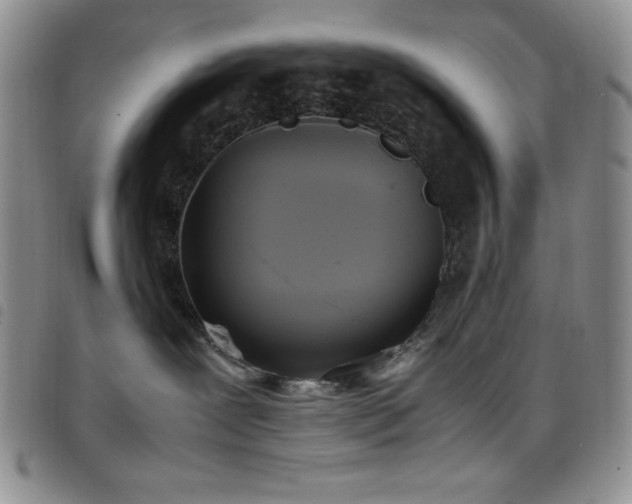 X0000099230239200804241459