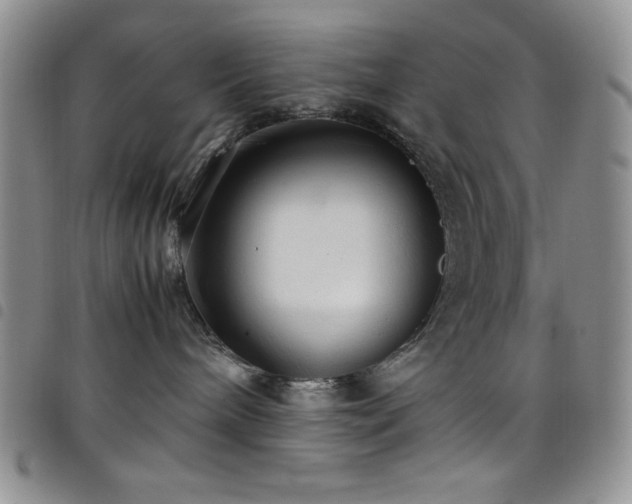 X0000099230240200804241459