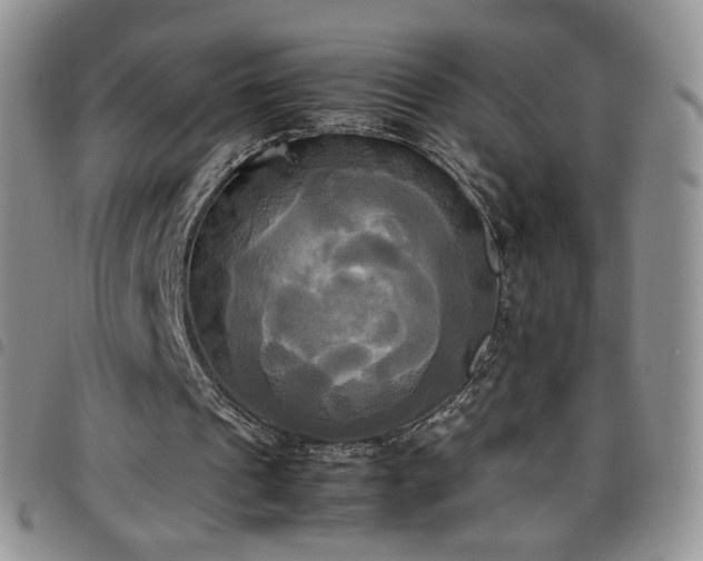 X0000099230241200804241458