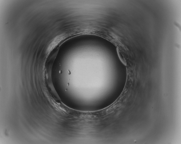 X0000099230242200804241458