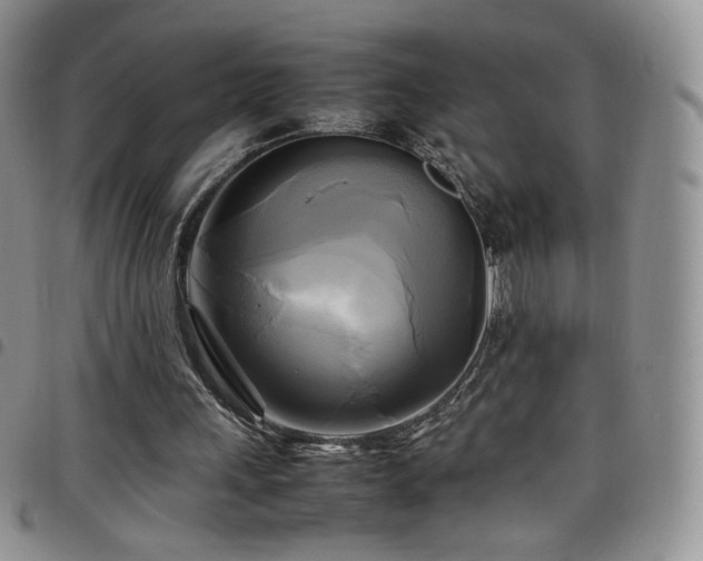 X0000099230243200804241458