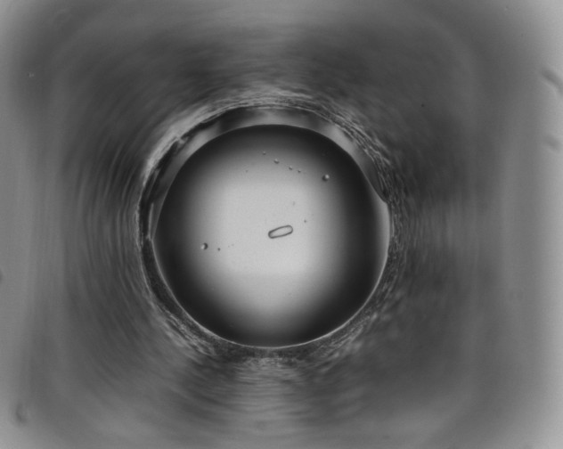 X0000099230244200804241458