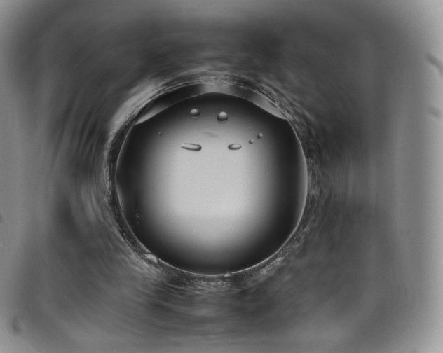 X0000099230245200804241458