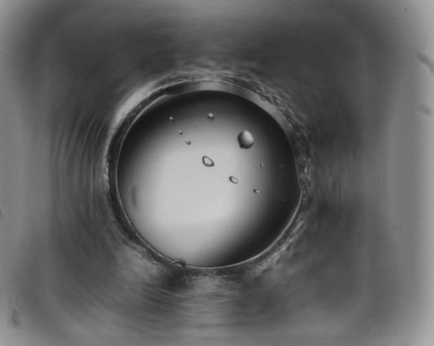 X0000099230246200804241458