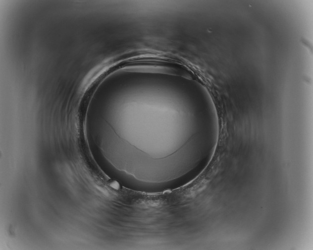 X0000099230247200804241458