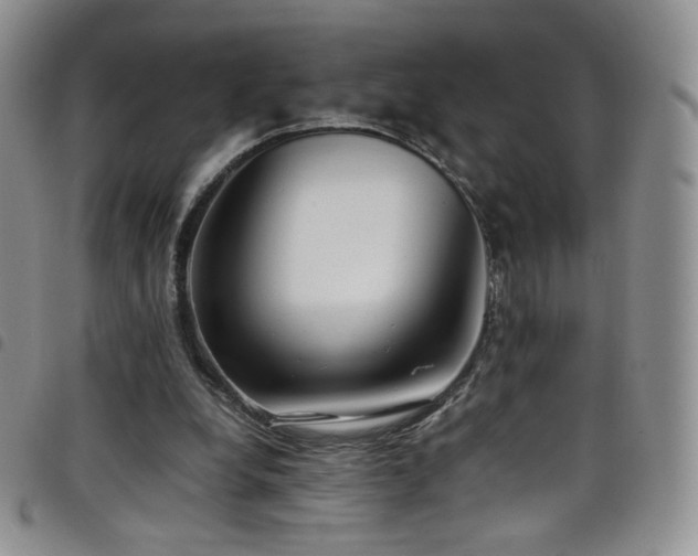 X0000099230248200804241458