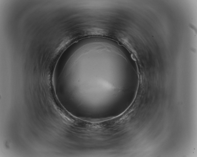 X0000099230249200804241458