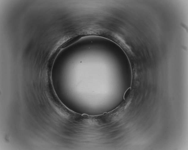 X0000099230250200804241458