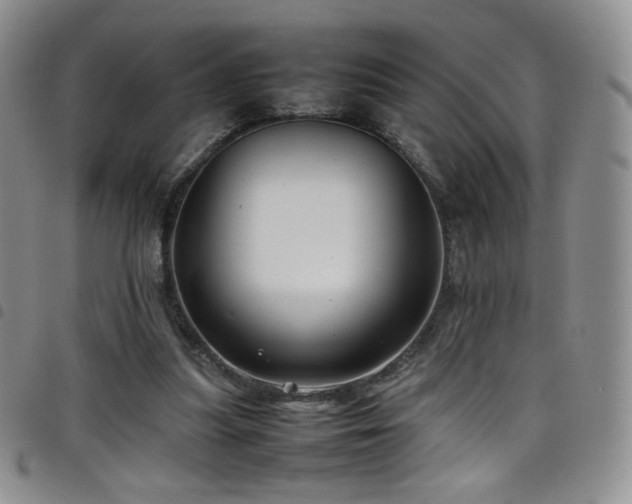 X0000099230251200804241458