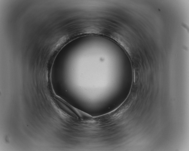 X0000099230253200804241458