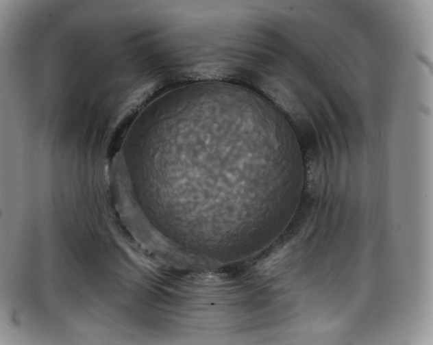 X0000099230254200804241458