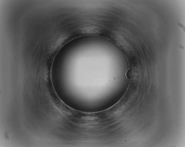 X0000099230255200804241458