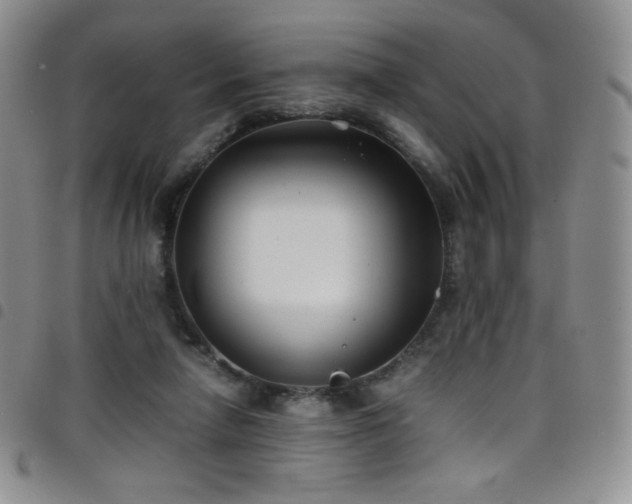 X0000099230258200804241459