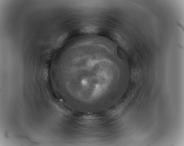 X0000099230259200804241459