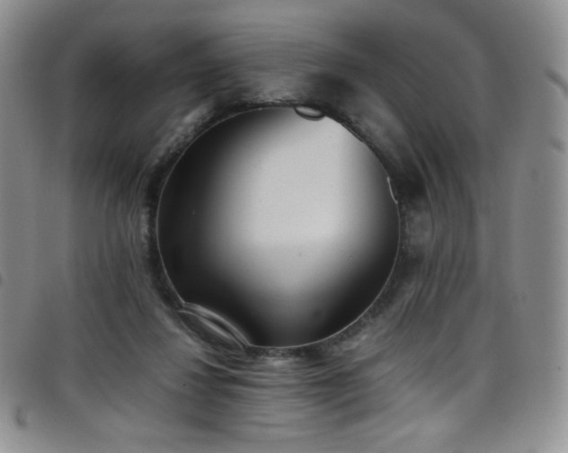 X0000099230260200804241459