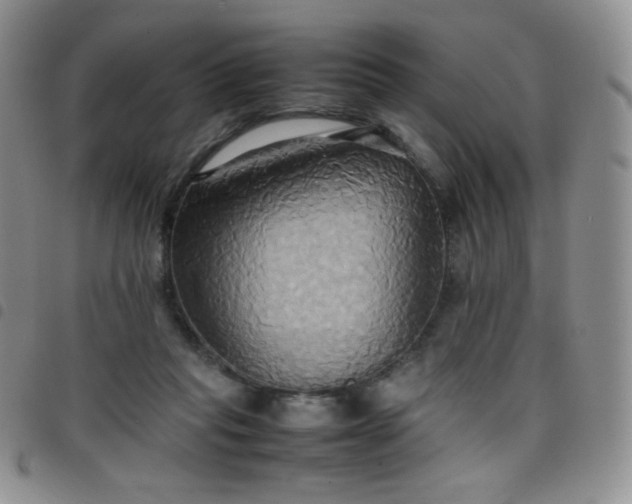 X0000099230261200804241459