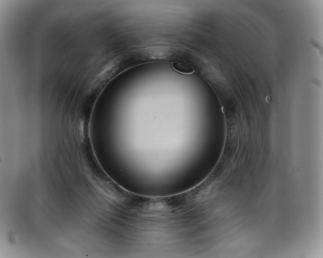 X0000099230262200804241459