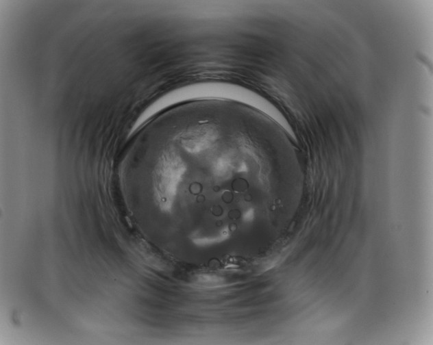 X0000099230263200804241459