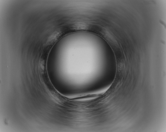 X0000099230264200804241459