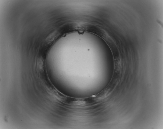 X0000099230266200804241459