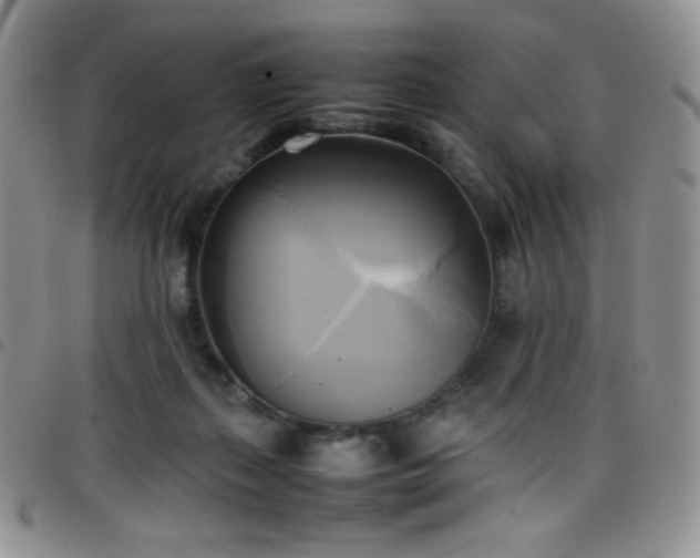 X0000099230267200804241459