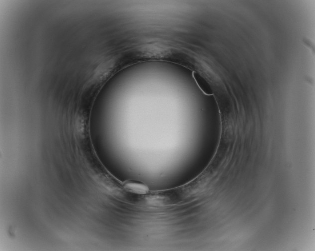 X0000099230268200804241459