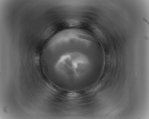 X0000099230269200804241459