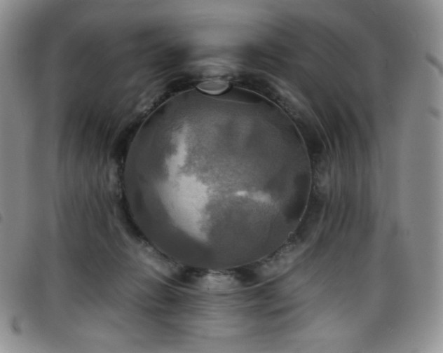 X0000099230270200804241459