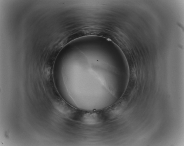 X0000099230271200804241459