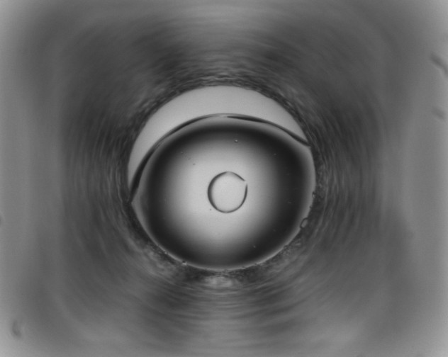 X0000099230272200804241459