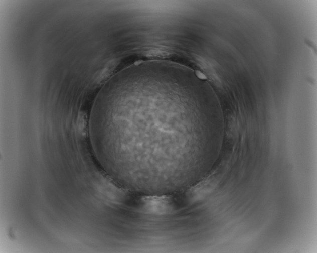 X0000099230273200804241459