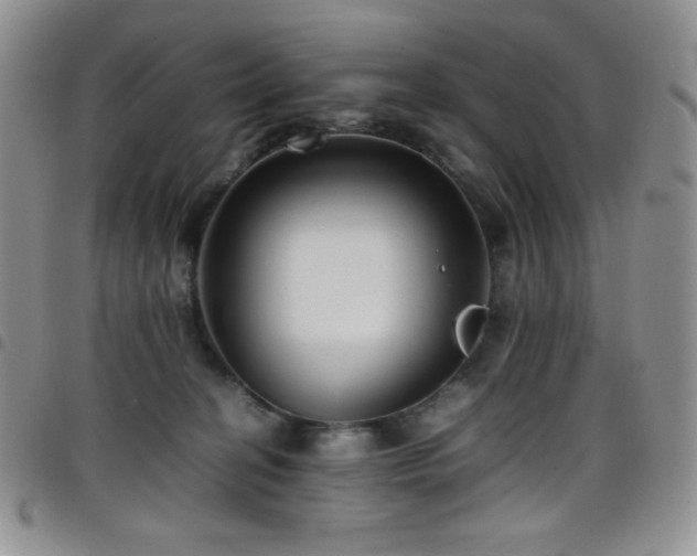 X0000099230274200804241459