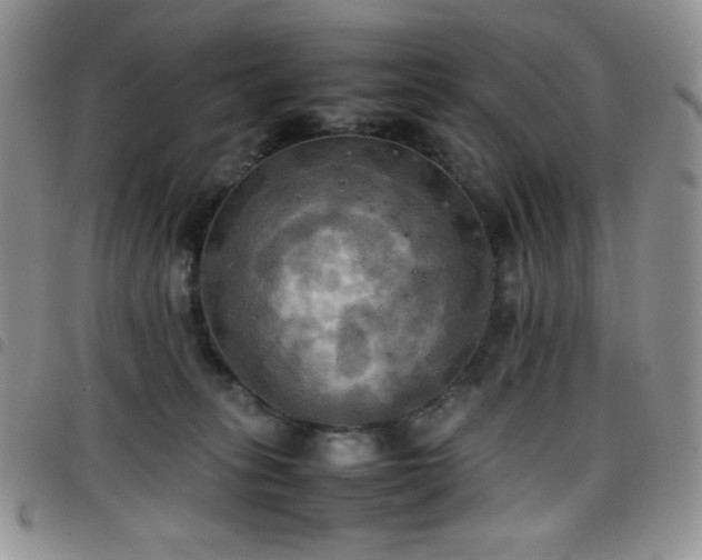 X0000099230275200804241459