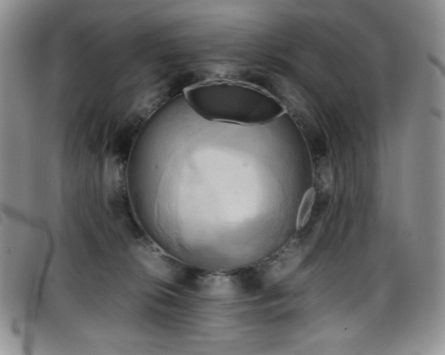 X0000099230276200804241459