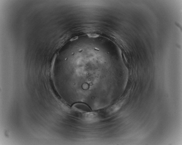 X0000099230277200804241459