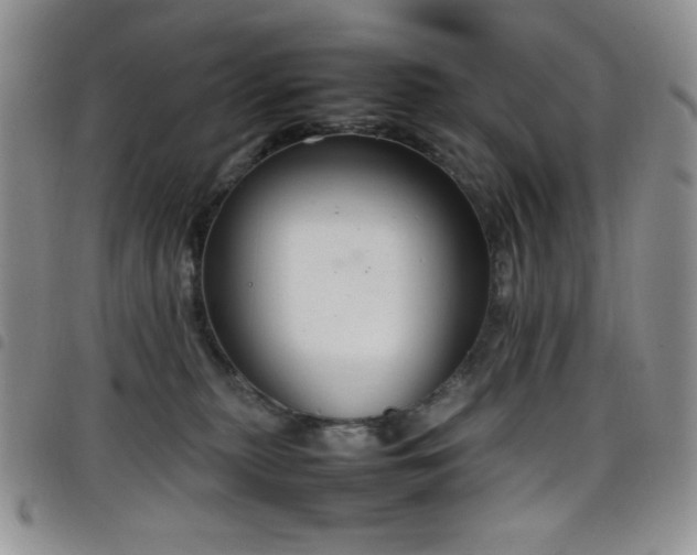 X0000099230279200804241459