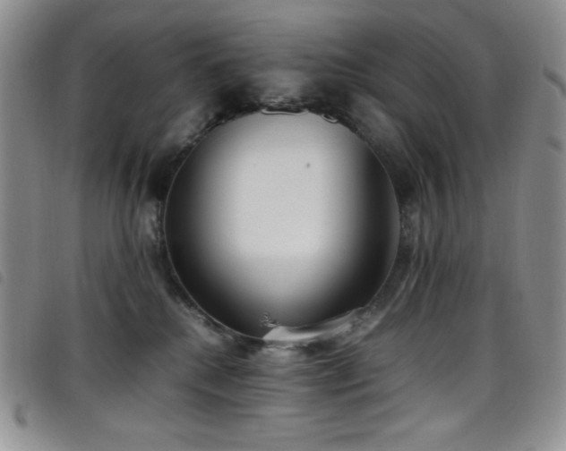 X0000099230280200804241459