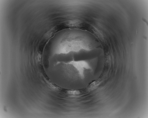 X0000099230281200804241459