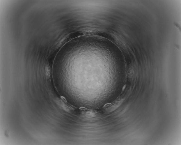 X0000099230282200804241459