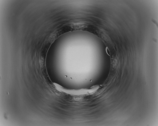 X0000099230283200804241459