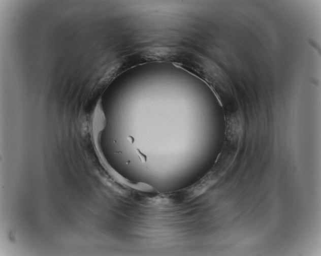 X0000099230284200804241459