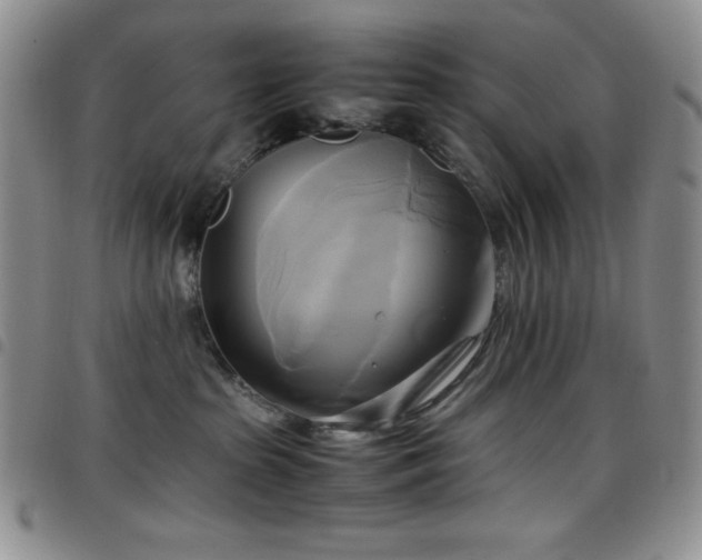 X0000099230285200804241459