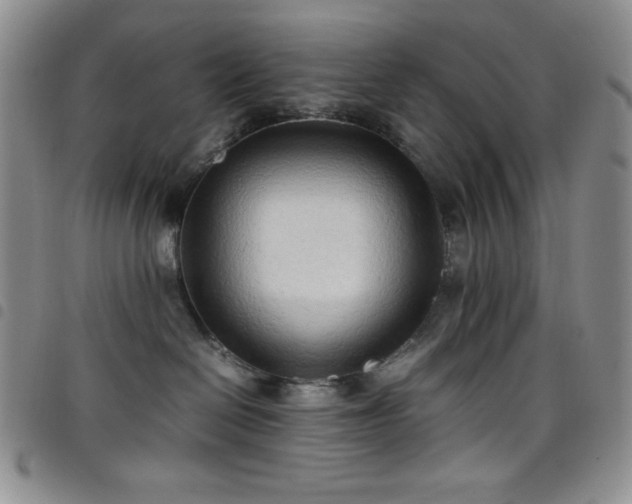 X0000099230286200804241459